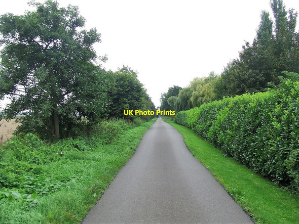 Photo 6"x4" Great Drove River Bank c2017