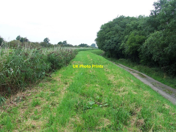 Photo 6"x4" River Bank River Bank c2017