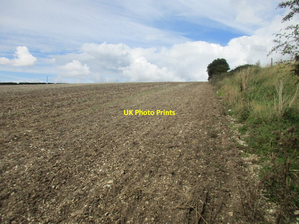 Photo 6"x4" Field edge near Butterwick Butterwick\/SE9971 c2017