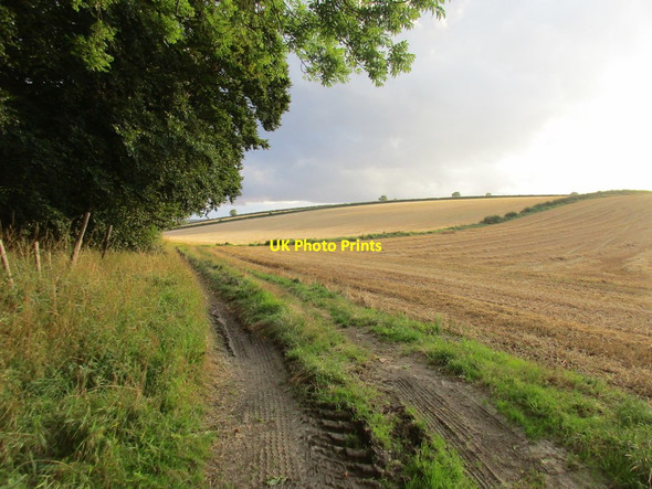 Photo 6"x4" Farm track alongside Cooper's Plantation Butterwick\/SE9971 c2017