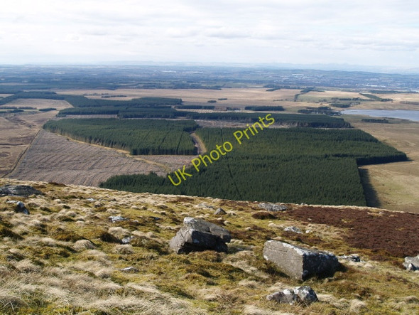Photo 6"x4" West Cairns plantation from West Cairn Hill West Cairns Plantation c2009