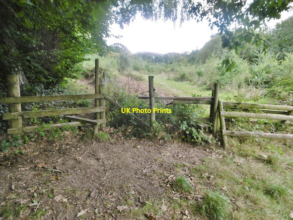 Photo 6"x4" Cranborne, stile & jump Crendell c2017