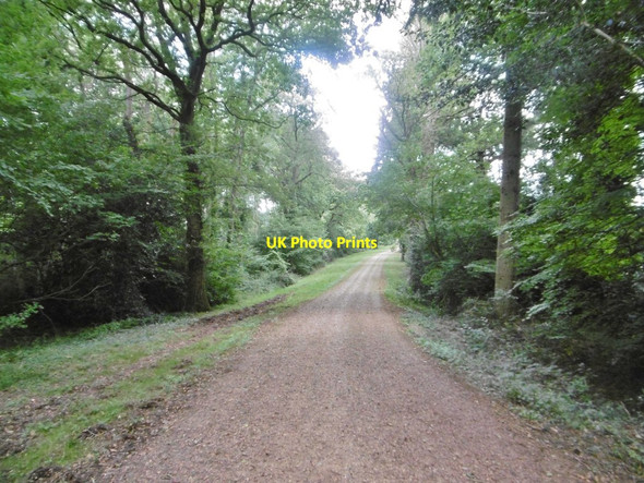 Photo 6"x4" Cranborne, drove Crendell c2017