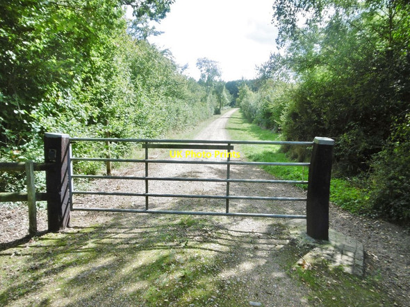 Photo 6"x4" Cranborne, gate Crendell c2017