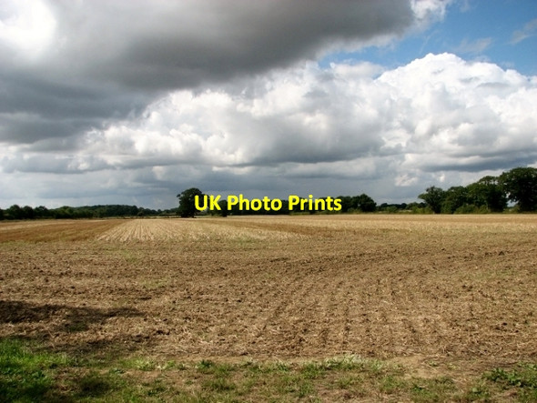 Photo 6"x4" Stubble fields west of Litchmere Road Hales Green\/TM3796 c2017