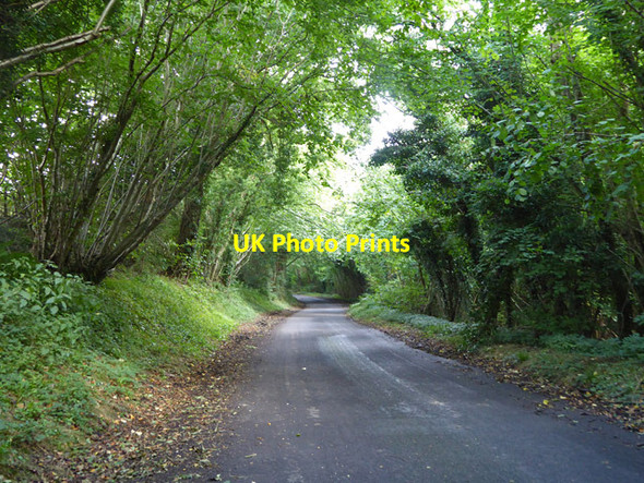 Photo 6"x4" A shady lane, Acrise Ridge Row c2017