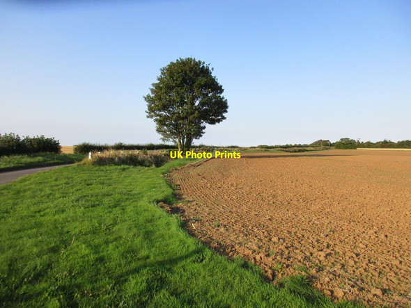Photo 6"x4" Alongside Patrington Road Holmpton c2017