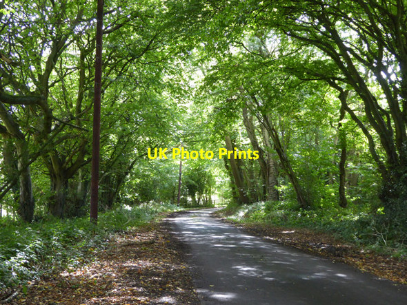 Photo 6"x4" Lane near Park Gate Park Gate\/TR1745 c2017