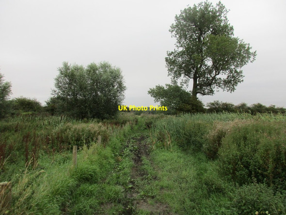Photo 6"x4" Alongside Bottesford Beck Holme\/SE9206 c2017