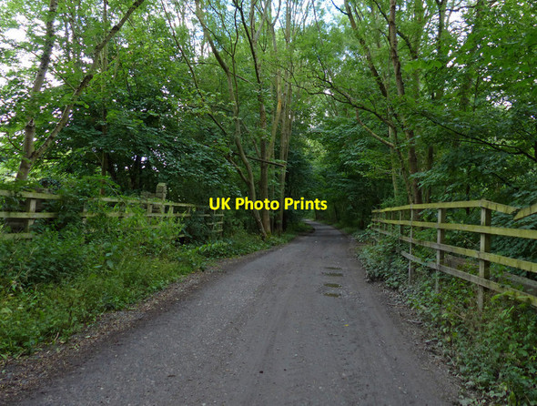 Photo 6"x4" National Cycle Route 45 near the River Severn Colemore Green c2017