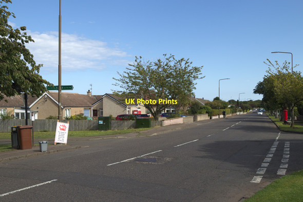 Photo 6"x4" St Baldred's Road North Berwick c2017