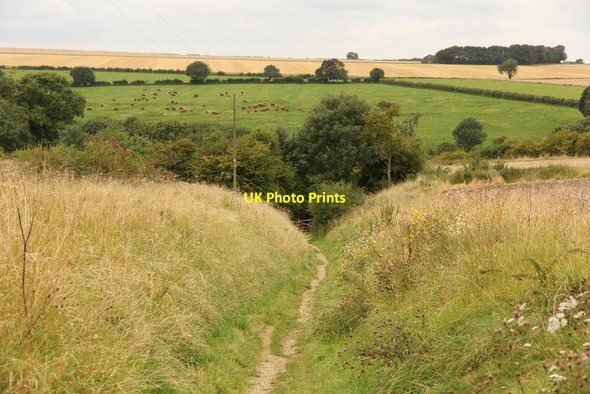 Photo 6"x4" Wharram Percy - Centenary Way Wharram Percy c2017 P1