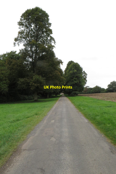 Photo 6"x4" Lane through Bromham Park Kempston c2017