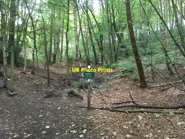 Photo 6"x4" Peak & Northern Footpaths Society sign #476 Whirlow c2017