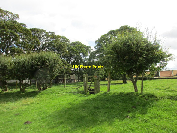 Photo 6"x4" Churchyard gate, Butterwick Butterwick\/SE9971 c2017