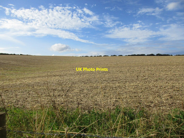 Photo 6"x4" Prepared field above Cans Dale Fordon c2017