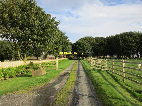 Photo 6"x4" Entrance to Danebury Manor Fordon c2017