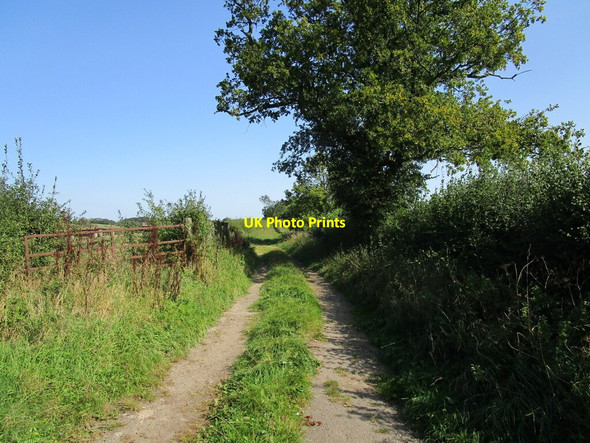 Photo 6"x4" Bridleway to Weston Sulgrave\/SP5545 c2020