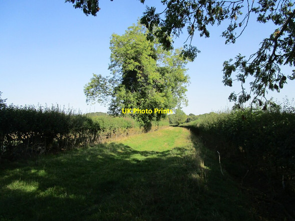 Photo 6"x4" Bridleway to Weston Sulgrave\/SP5545 c2020