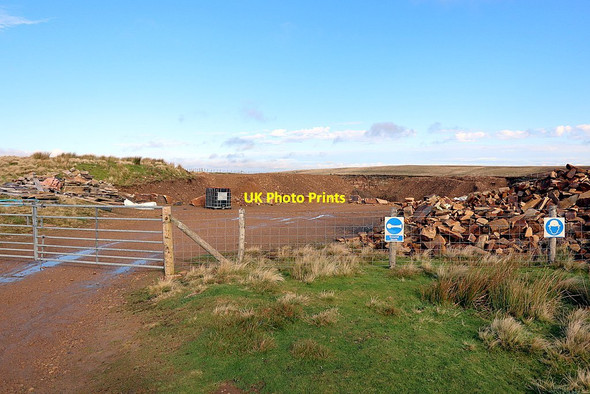 Photo 6"x4" Entrance to Doddend Quarry Allenheads c2020
