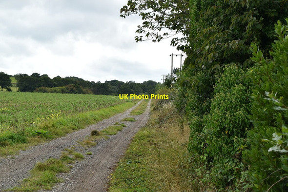 Photo 6"x4" Track by water treatment works Gotham\/TQ7009 c2019