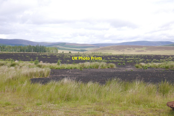 Photo 6"x4" Recolonising the peat works Auchnarrow c2020