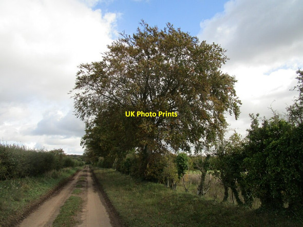 Photo 6"x4" Byway to Great Massingham Gayton Thorpe c2020
