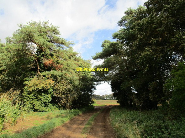 Photo 6"x4" Byway to Great Massingham Gayton Thorpe c2020