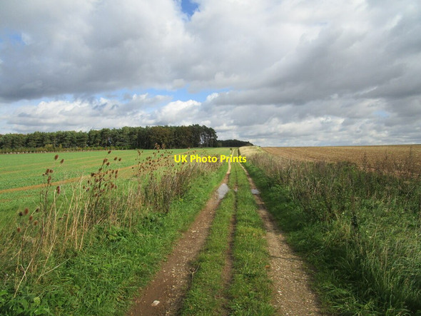 Photo 6"x4" Byway to Great Massingham Gayton Thorpe c2020