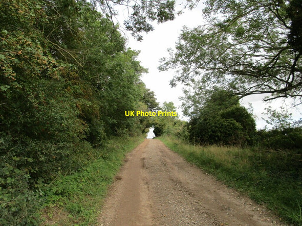 Photo 6"x4" Bridleway alongside a strip of woodland Gayton Thorpe c2020