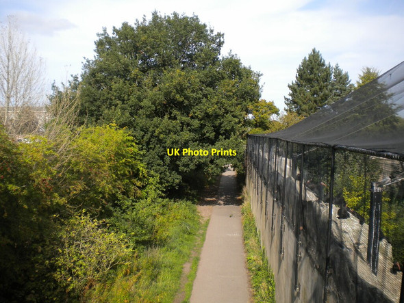 Photo 6"x4" Public bridleway through Chester Zoo Moston\/SJ4070 c2020