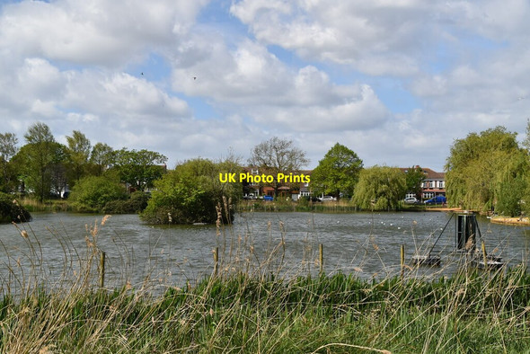 Photo 6"x4" Baffins Pond Portsmouth\/SU6501 c2019 P1
