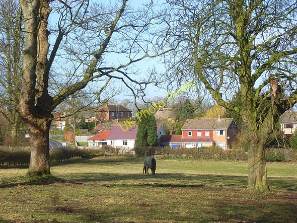 Photo 6"x4" Pasture and houses, Wickham Wickham\/SU3971 c2009