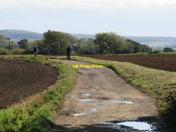 Photo 6"x4" Cyclists on the Red Squirrel Trail, near Newport Merstone c2020