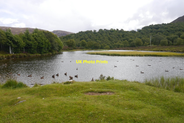Photo 6"x4" The pond on Chapel Brae Auchendryne c2020