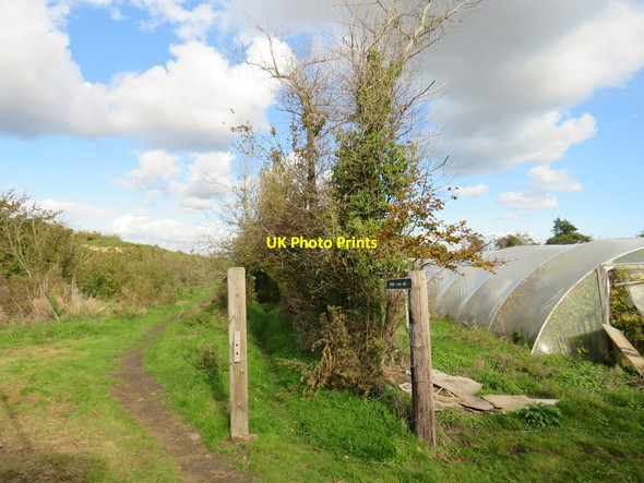 Photo 6"x4" Public footpath near Godshill Godshill\/SZ5281 c2020