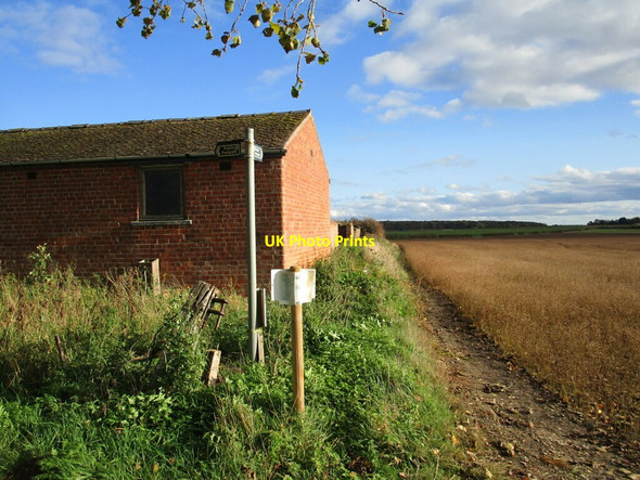 Photo 6"x4" The Viking Way at Snakeholme Farm Bardney c2020