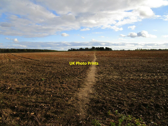 Photo 6"x4" The Viking Way crossing a prepared field Bardney c2020