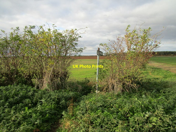 Photo 6"x4" Footpath sign on the Viking Way Bardney c2020