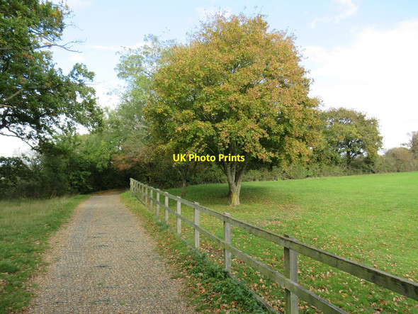 Photo 6"x4" Medina Greenway near Newport Newport\/SZ4988 c2020