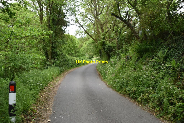 Photo 6"x4" Manor rd Ventnor c2019