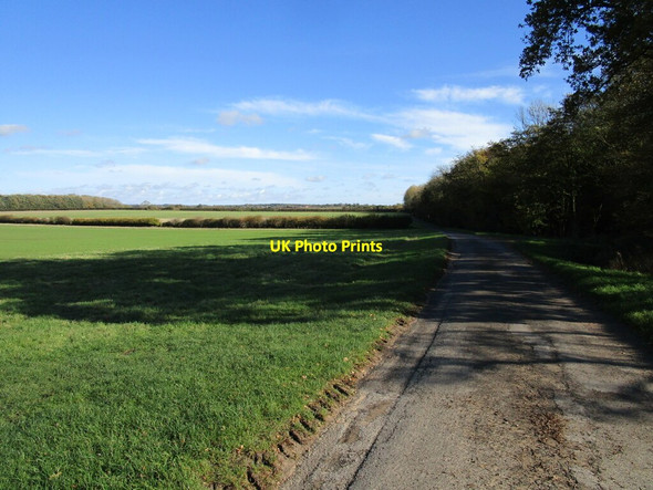 Photo 6"x4" Bridleway alongside Fulsby Wood Kirkby on Bain c2020