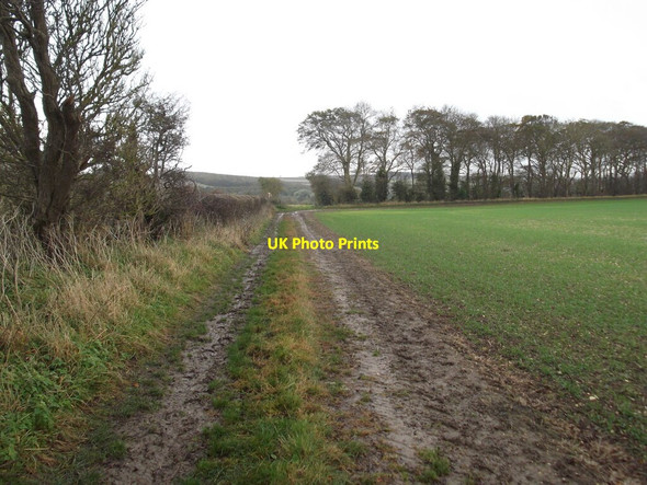 Photo 6"x4" Bridleway near Rudston Rudston c2020