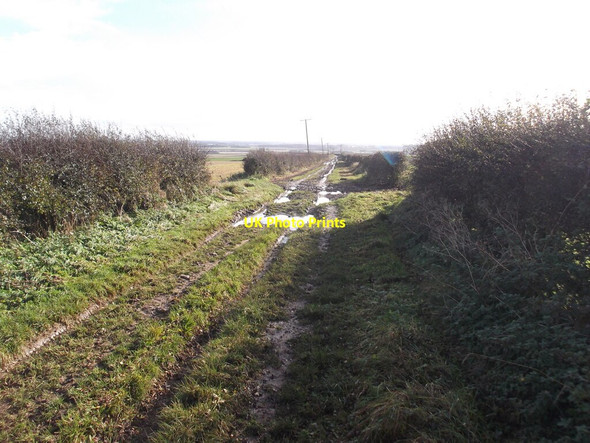 Photo 6"x4" Byway across Thornholme Field Haisthorpe c2020