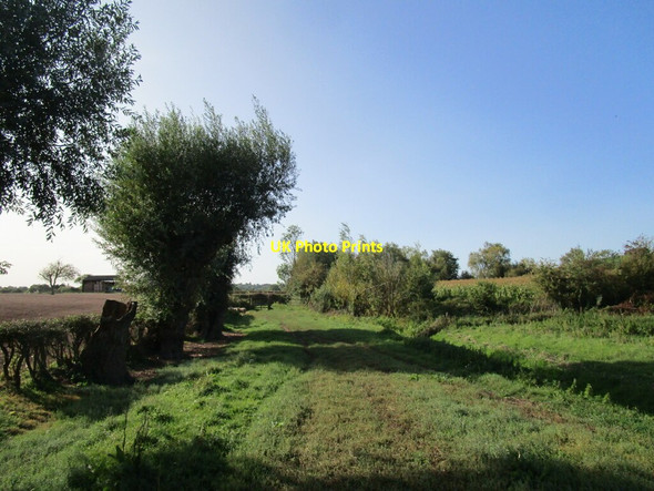 Photo 6"x4" Bridleway to Wickridge Street Hasfield c2020 P1