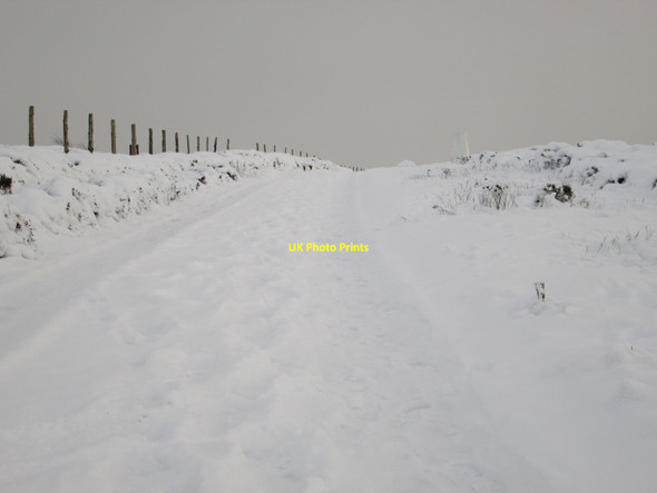 Photo 6"x4" Camouflaged trig point Roppa Wood c2013