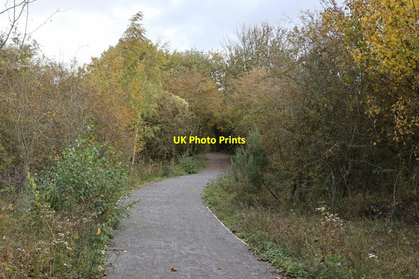 Photo 6"x4" Bend in the line Hermitage\/SU5173 c2020