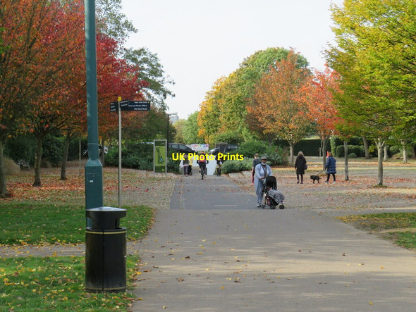 Photo 6"x4" Autumn colours in Burgess Park Camberwell c2020