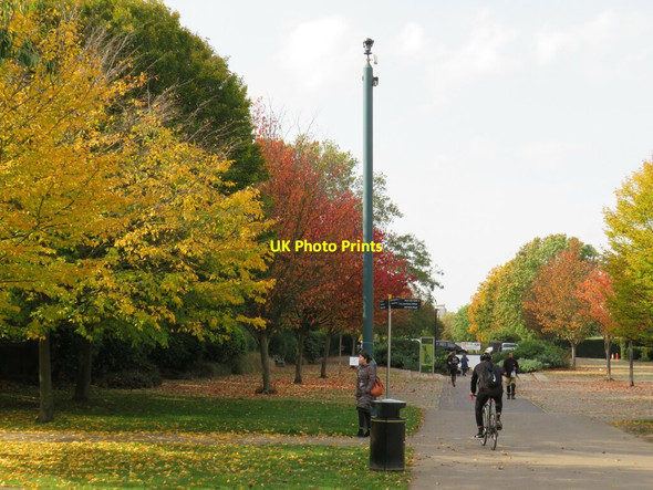 Photo 6"x4" Autumn colours in Burgess Park Camberwell c2020 P1