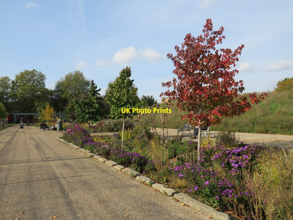 Photo 6"x4" Autumn colours in Burgess Park Camberwell c2020 P2